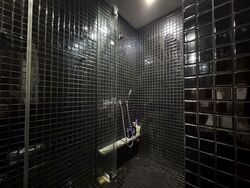 Skysuites@Anson (D2), Apartment #545301651